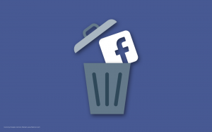 #DeleteFacebook Facebook in the Trash